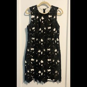 Lace Black & White Calvin Klein Dress | Size 4